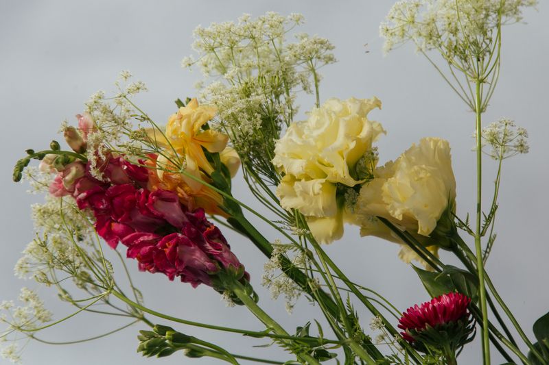 Grand bouquet anniversaire Interflora fleurs variées
